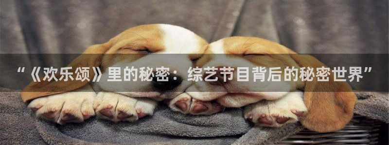 one游戏官网：“《欢乐颂》里的秘密：综艺节目背后的秘密世界”