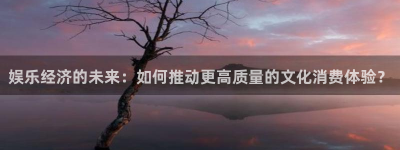 one游戏体育平台：娱乐经济的未来：如何推动更高质量的文化消费体验？