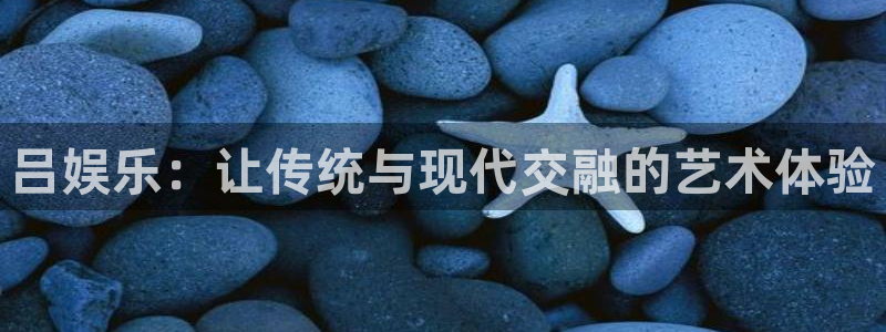 one游戏平台官网入口：吕娱乐：让传统与现代交融的艺术体验