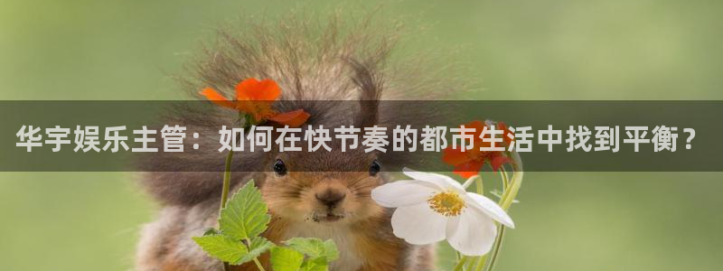 one游戏皇马官网：华宇娱乐主管：如何在快节奏的都市生活中找到平衡？