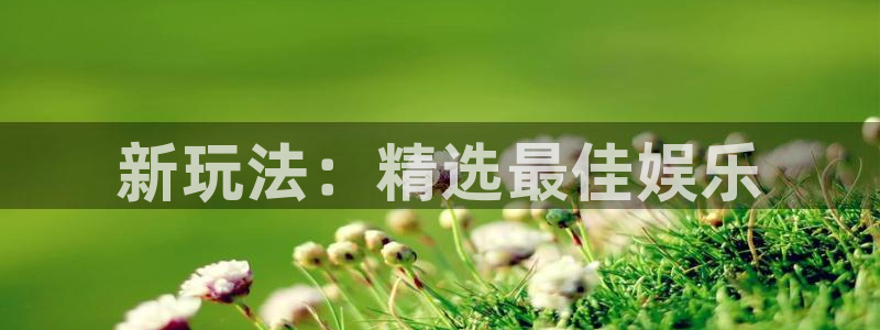one游戏体育平台：新玩法：精选最佳娱乐
