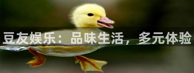 one游戏皇马官网：豆友娱乐：品味生活，多元体验