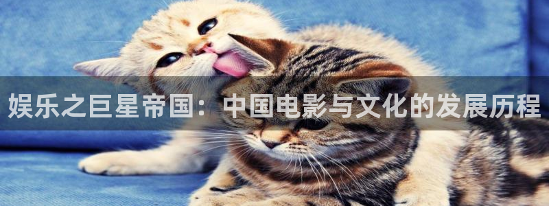 one游戏体育平台：娱乐之巨星帝国：中国电影与文化的发展历程