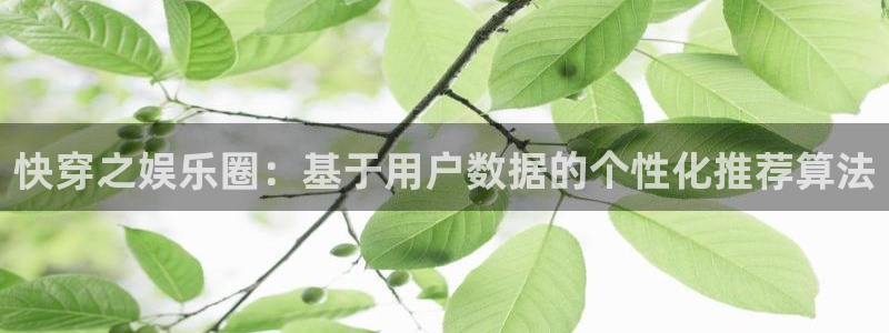 one游戏官网：快穿之娱乐圈：基于用户数据的个性化推荐算法