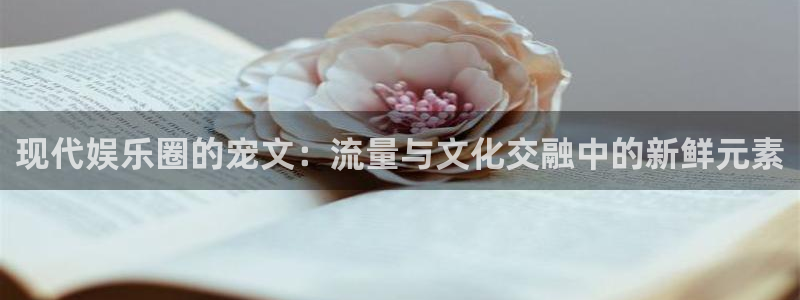 one游戏网站：现代娱乐圈的宠文：流量与文化交融中的新鲜元素